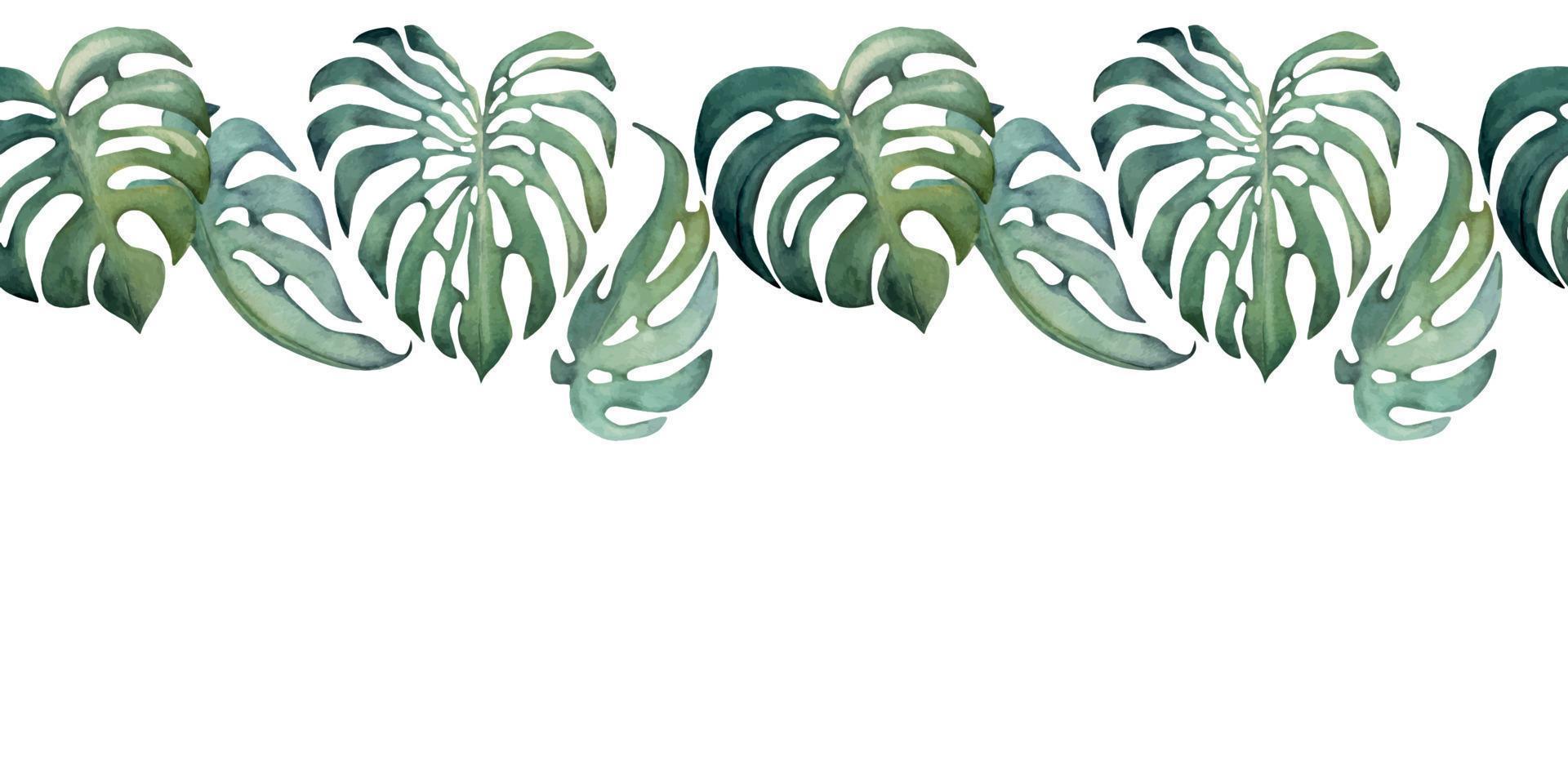 Hand drawn watercolor exotic monstera leaves and hibiscus. Seamless horizontal banner. Isolated on white background. Design for wall art, wedding, print, fabric, cover, card, tourism, travel booklet. vector