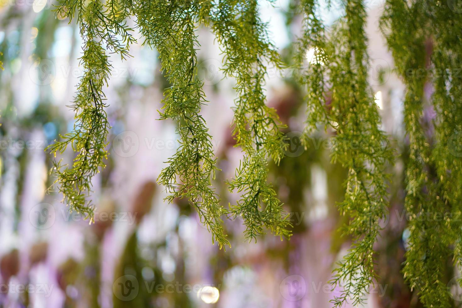 Artificial green plant in blur background photo