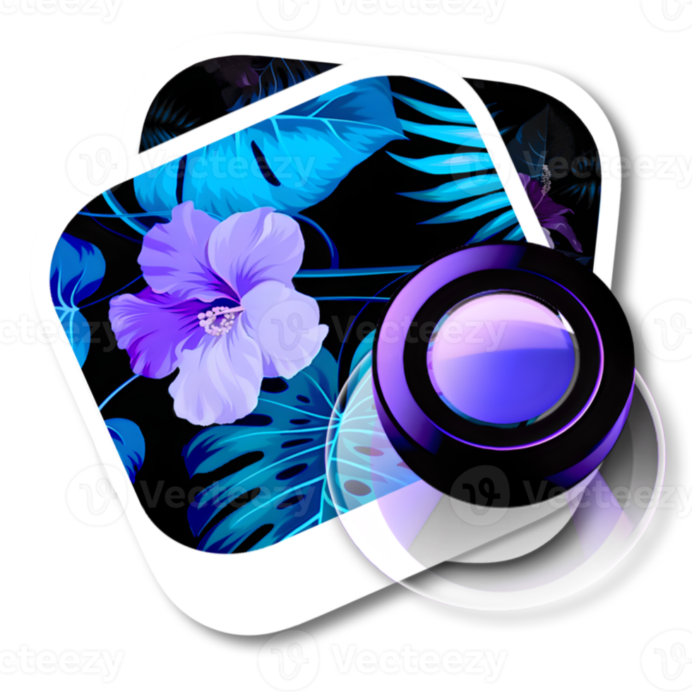 Photo Gallery Viewer png