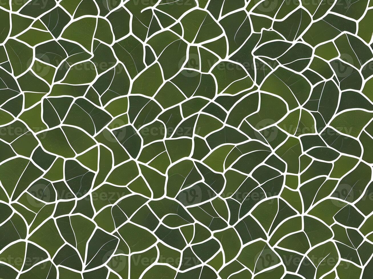 Ginkgo biloba leaf pattern. Vintage botanical background with foliage in hand drawn style. The image was created using . photo