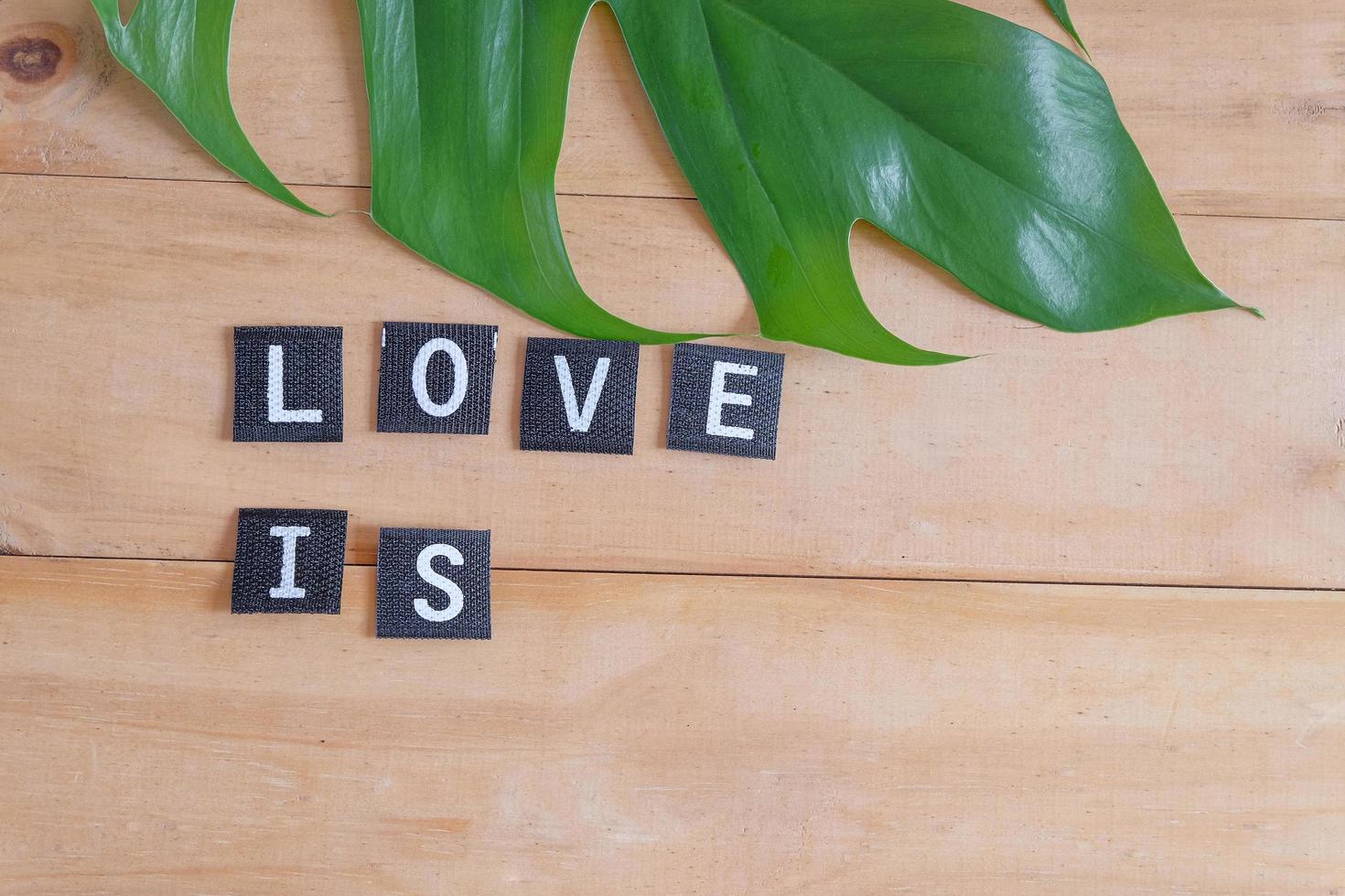 Text word Love is on wood table , love concept. photo