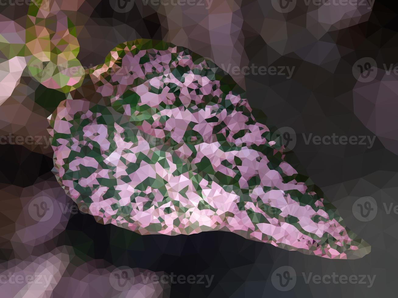 beautiful pink leaves with green spots growing in the garden. photo