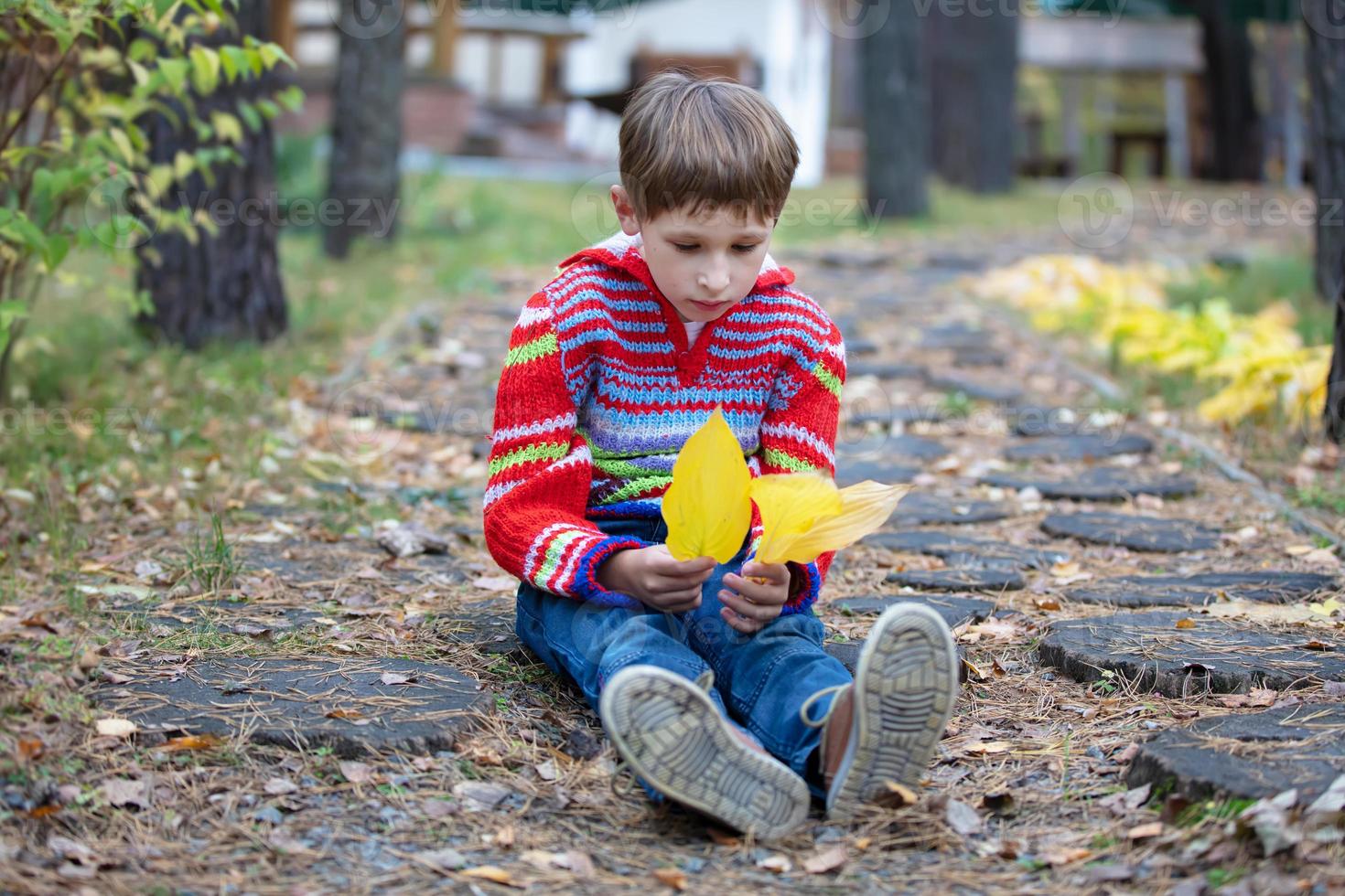 Beautiful boy sits with yellow leaves. Child on an autumn walk. photo