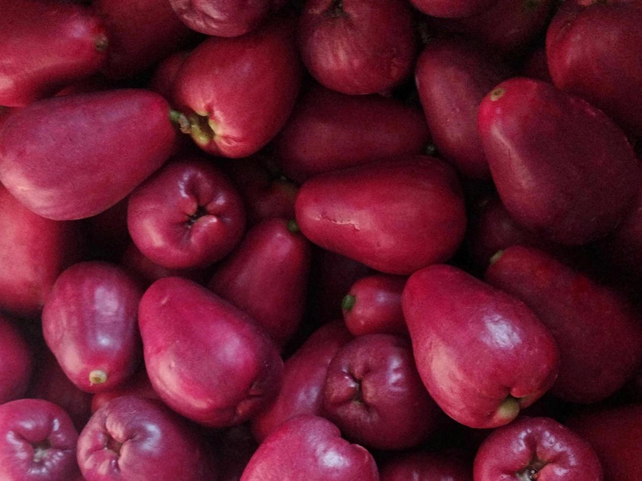 Guava background. Fresh organic guava fruit. Country garden harvest. photo