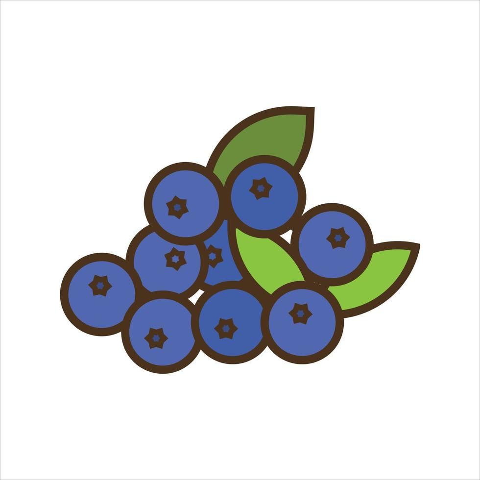 Fruit Illustration Vector