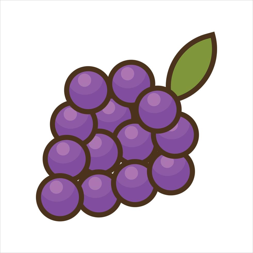 Fruit Illustration Vector