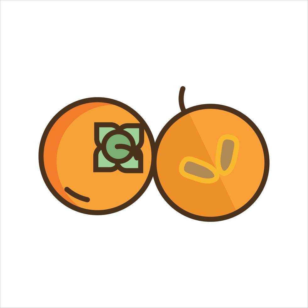 Fruit Illustration Vector