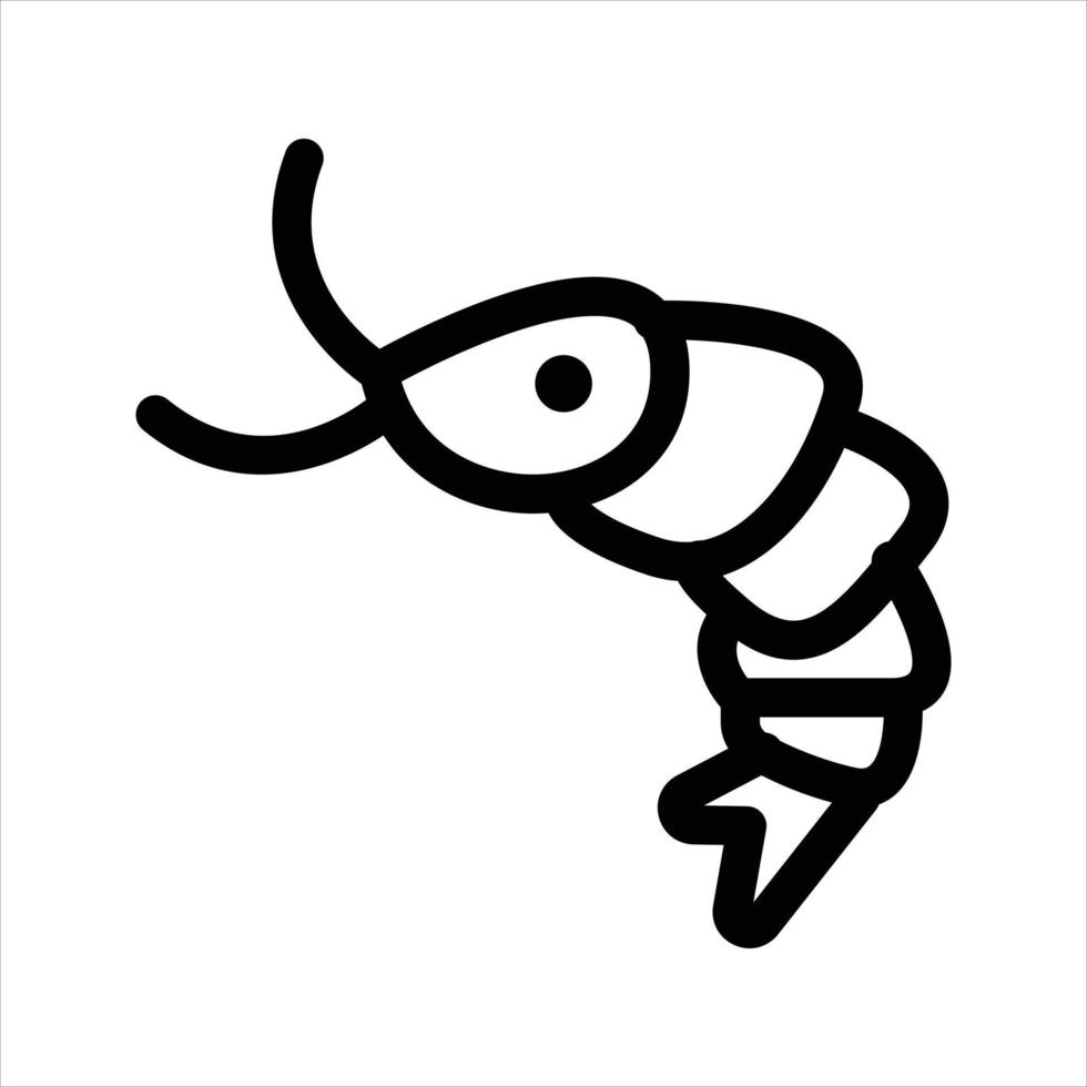 Shrimp Illustration Vector