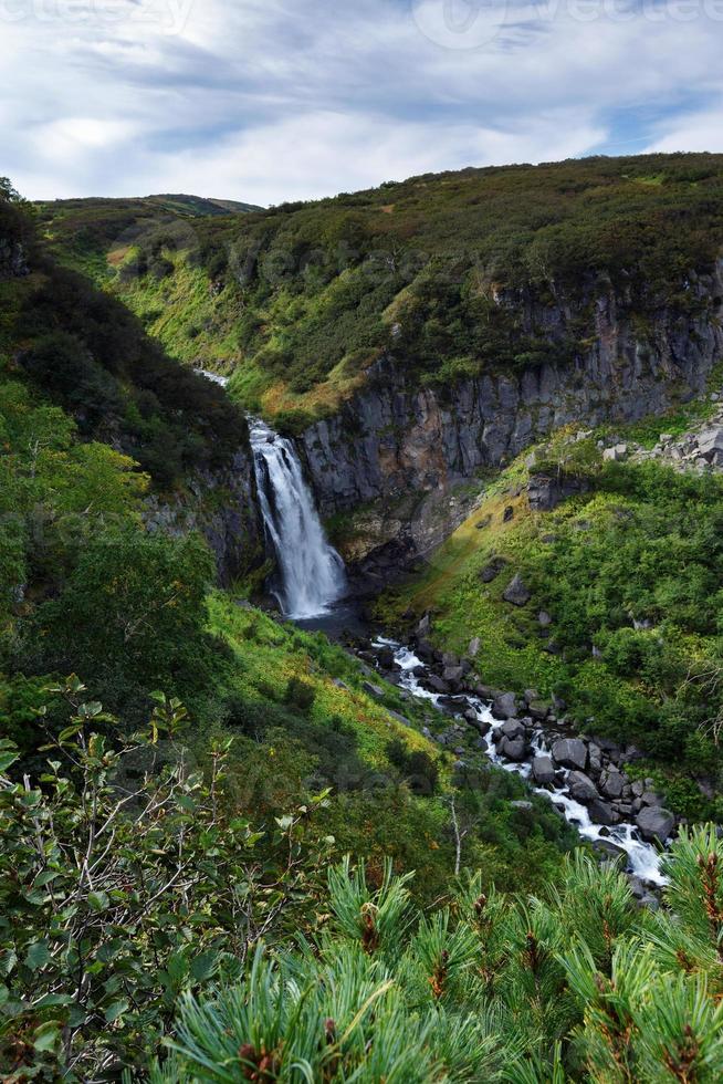 cascada de montaña cascada, Montaña alta vegetación - verde arbustos y arboles foto