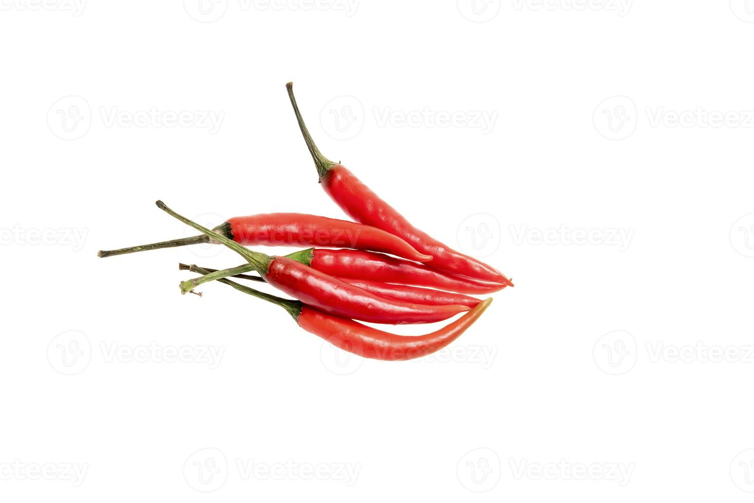 Green chili pepper isolated on white photo