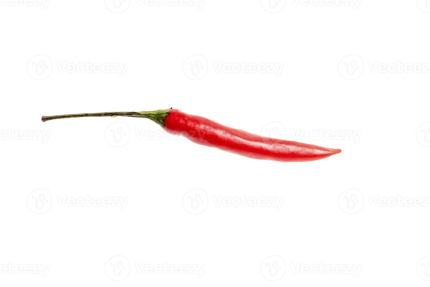 Green chili pepper isolated on white photo