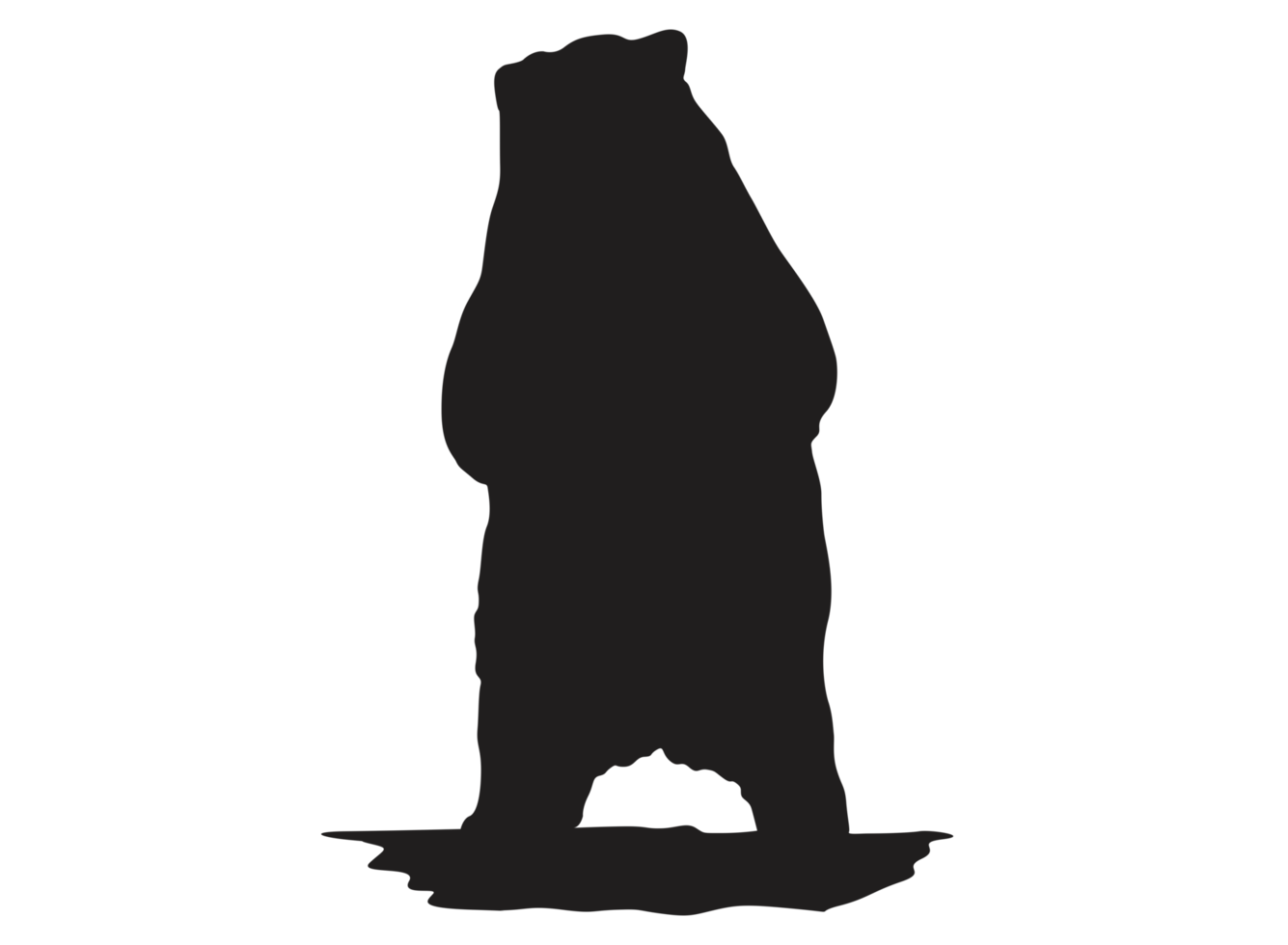 Animal - Bear Silhouette png