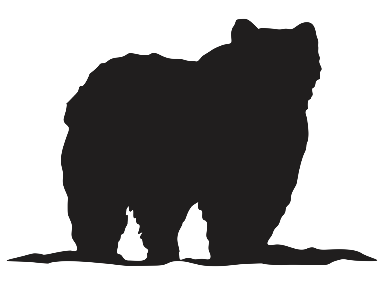 Tier - - Bär Silhouette png