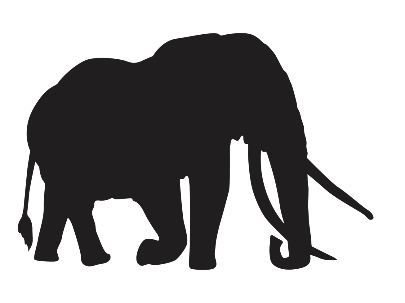 Animal - Elephant Silhouette png