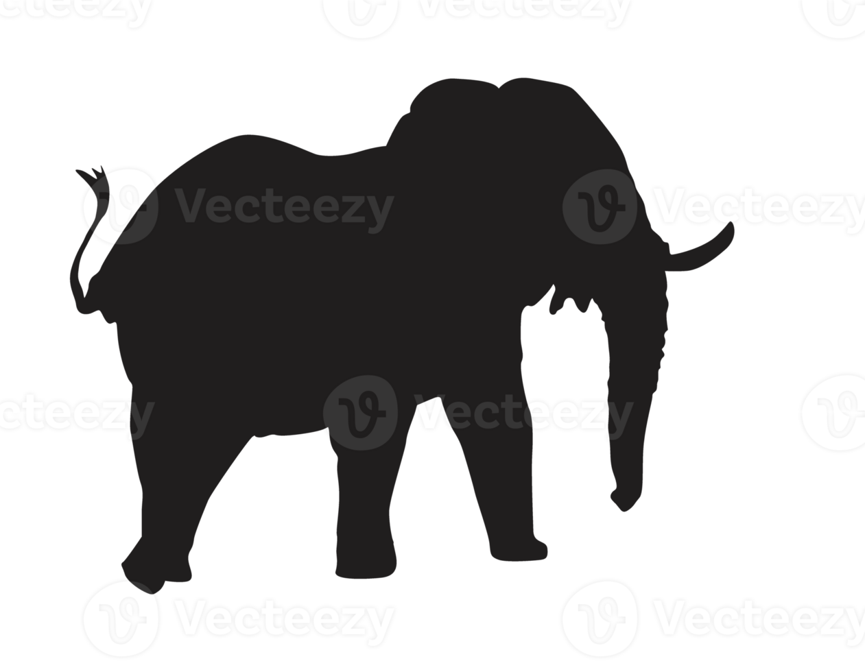 Tier - - Elefant Silhouette png