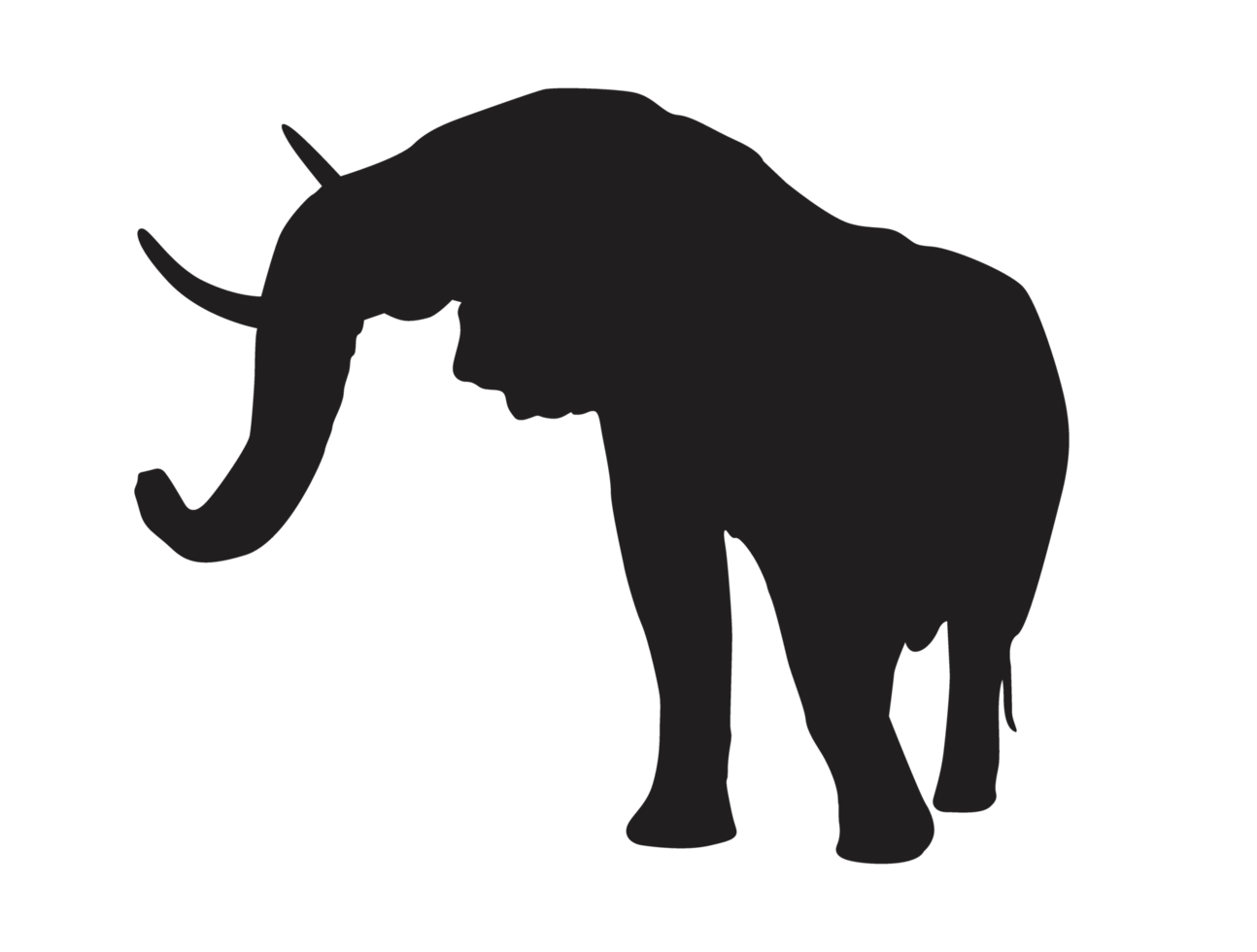 djur- - elefant silhuett png