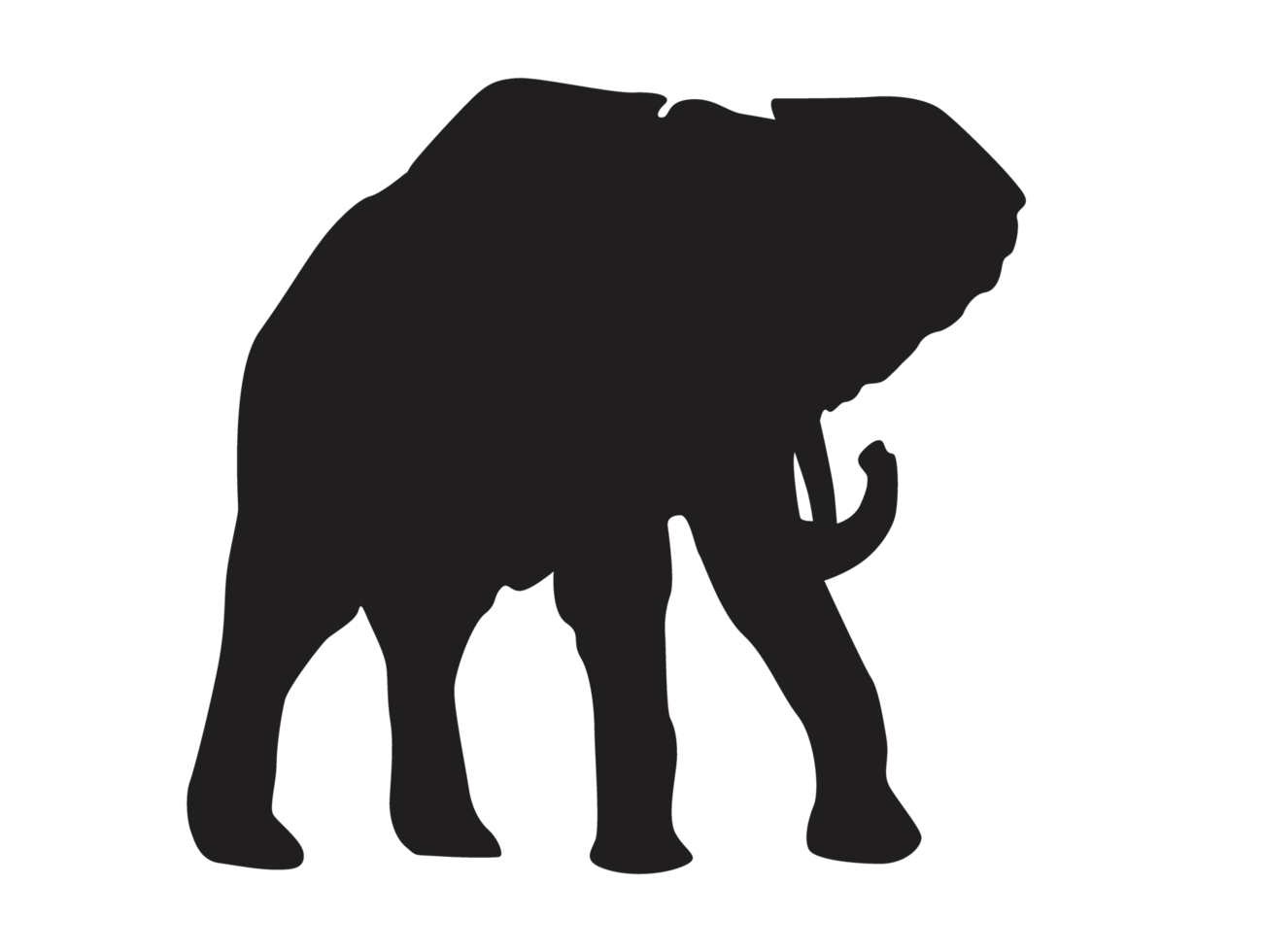 animal - l'éléphant silhouette png