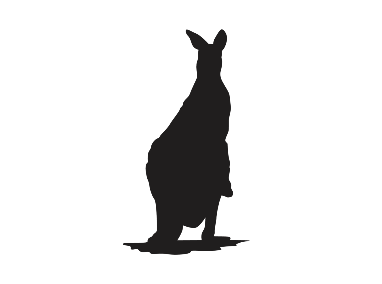 animal - kangourou silhouette png