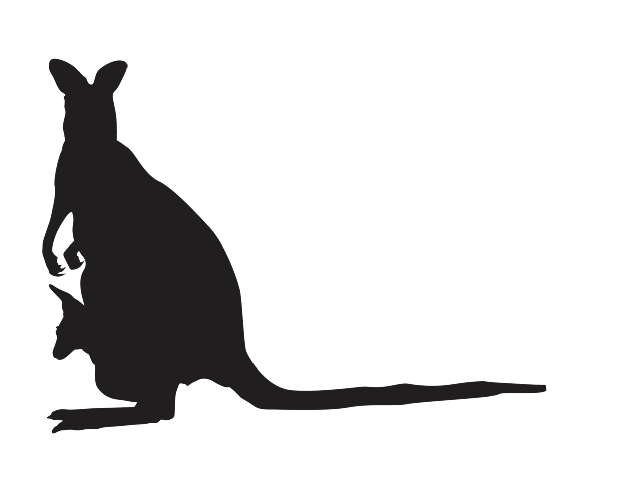 Tier - - Känguru Silhouette png