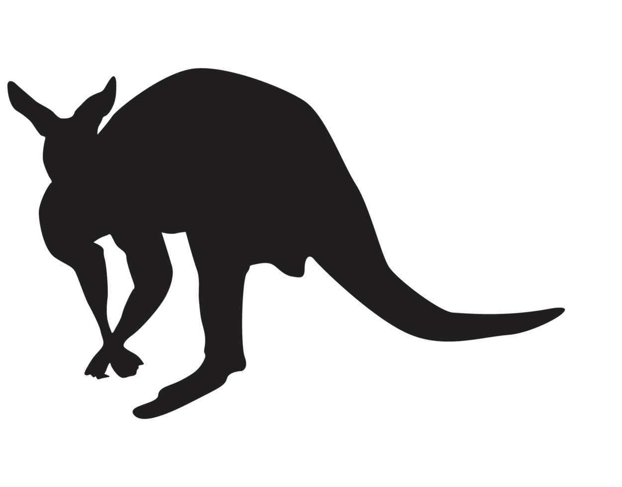 animale - canguro silhouette png