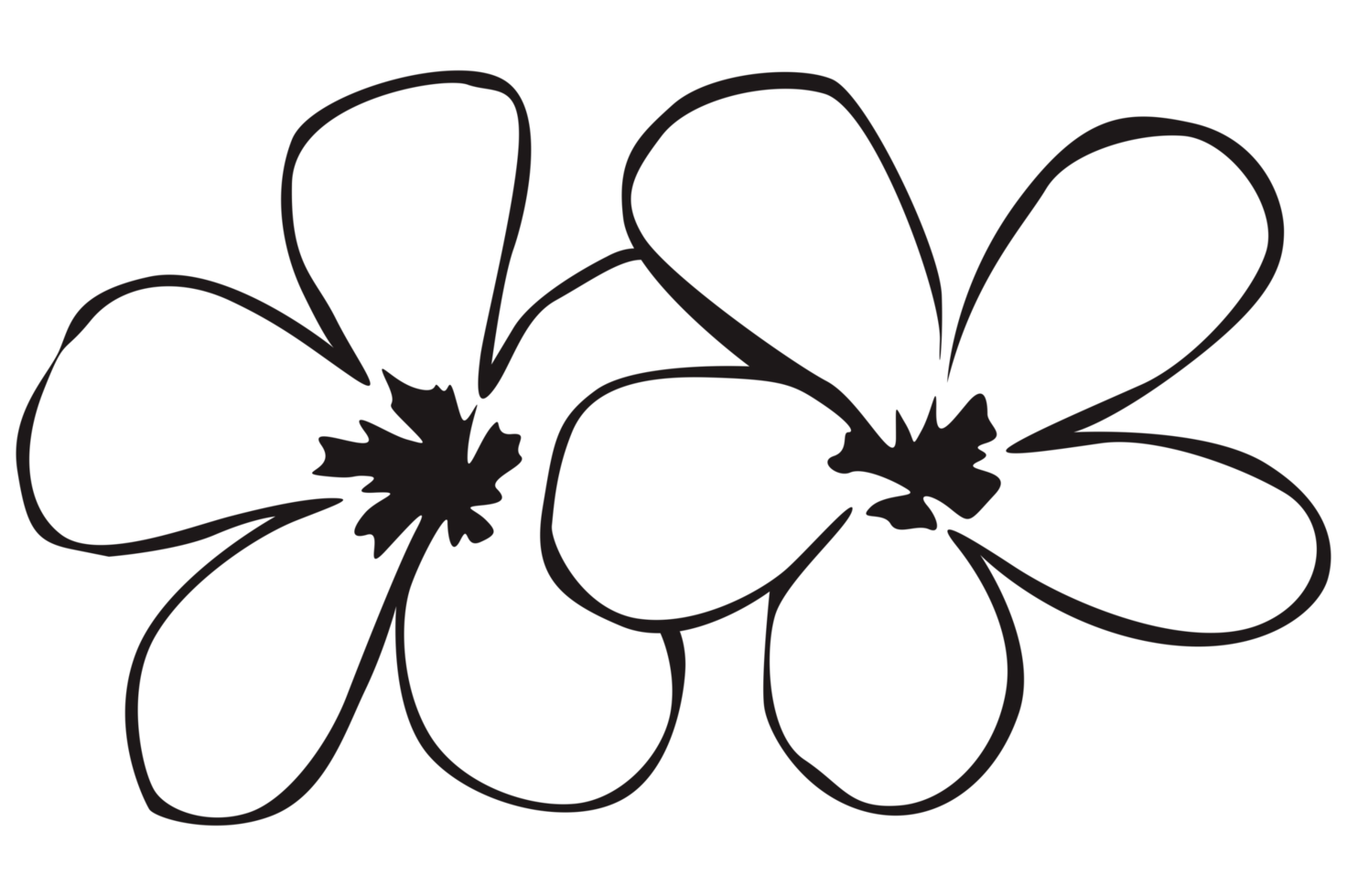 frangipani fiore linea arte png