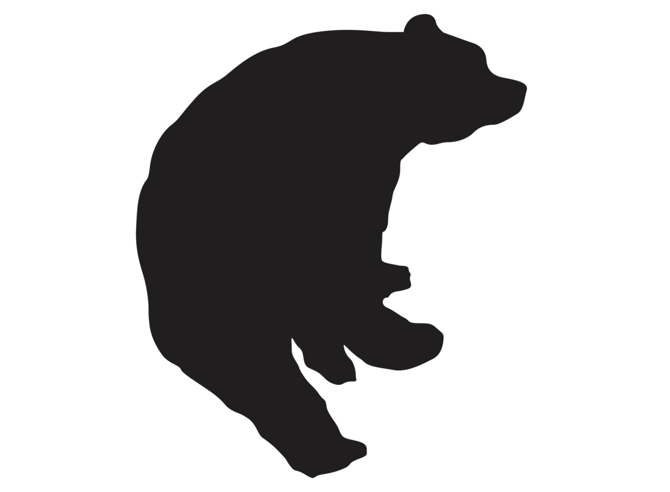 Animal - Bear Silhouette png