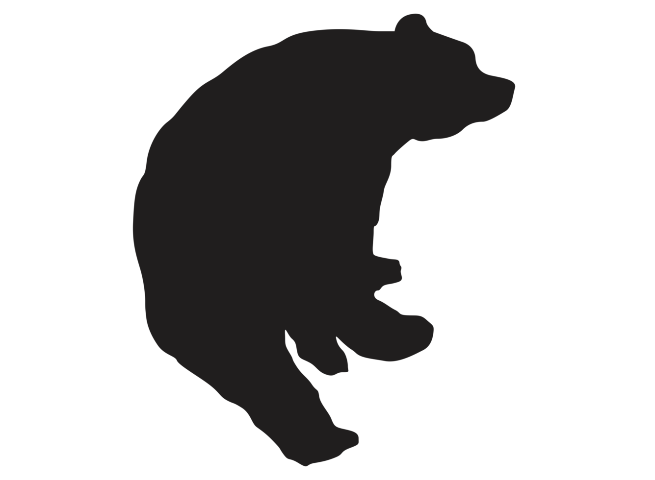 animal - oso silueta png