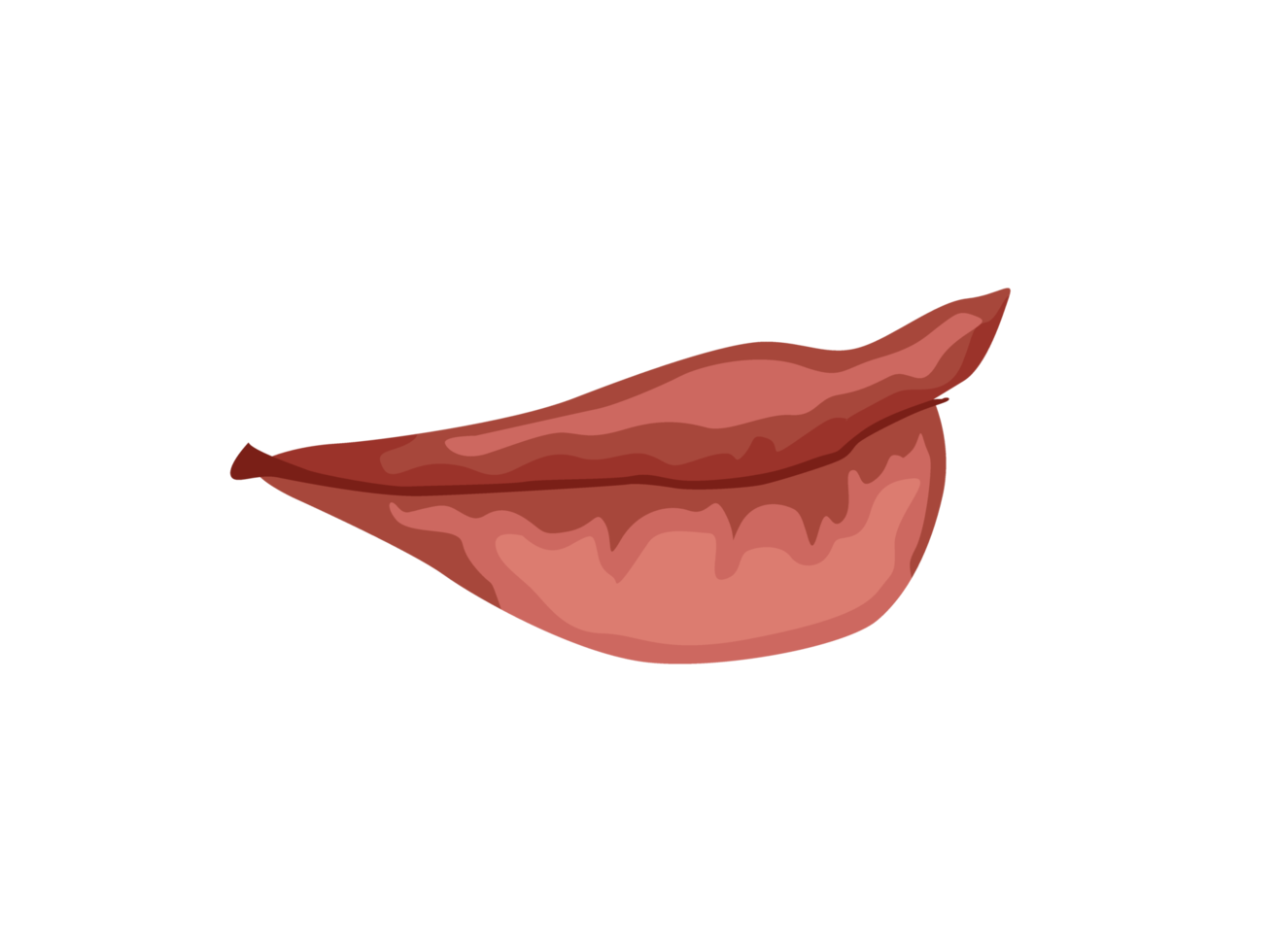 parte de cuerpo - De las mujeres labios png