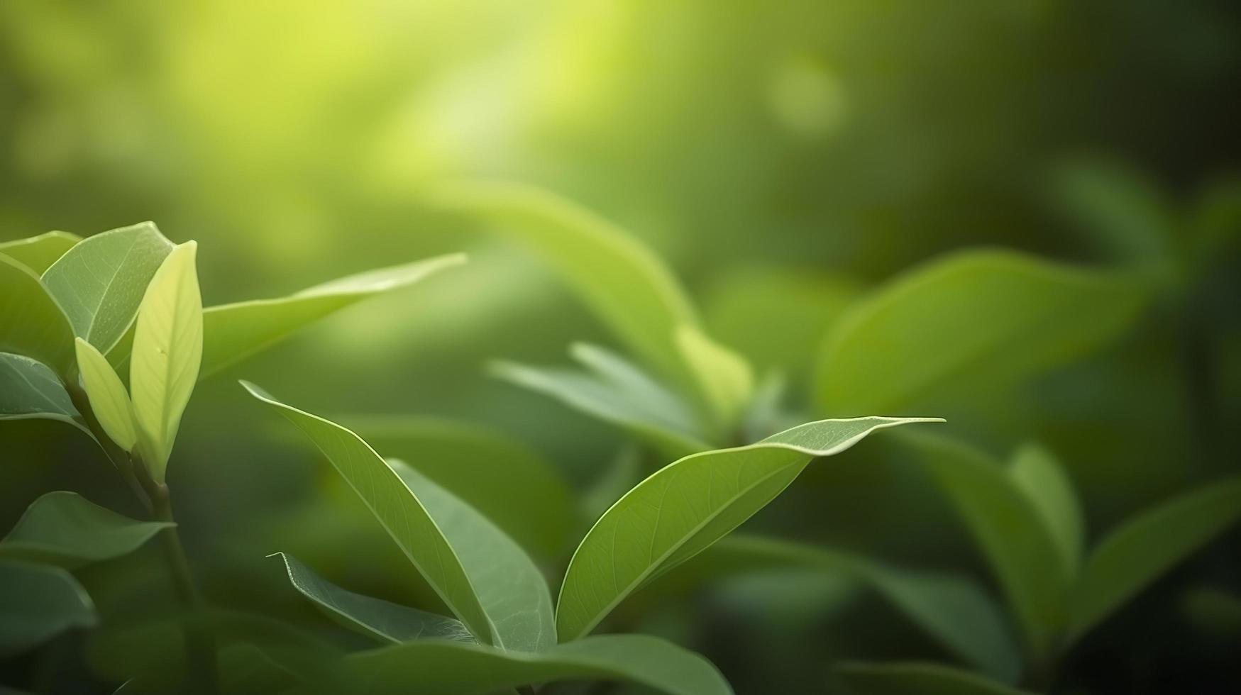 cerca arriba hermosa ver de naturaleza verde hojas en borroso verdor árbol fondo, generar ai foto