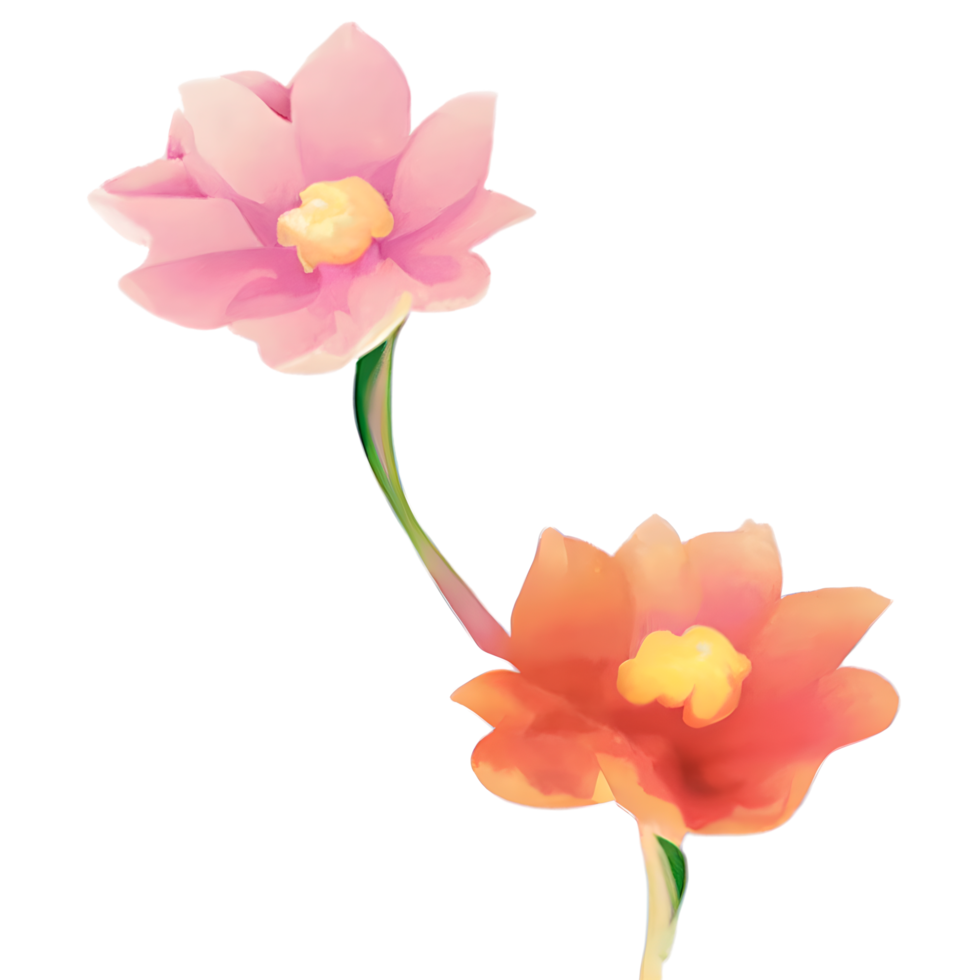 flower watercolor cute png