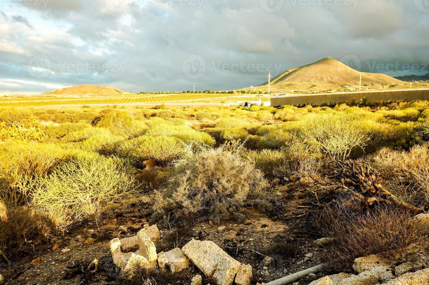 Scenic view in Tenerife photo
