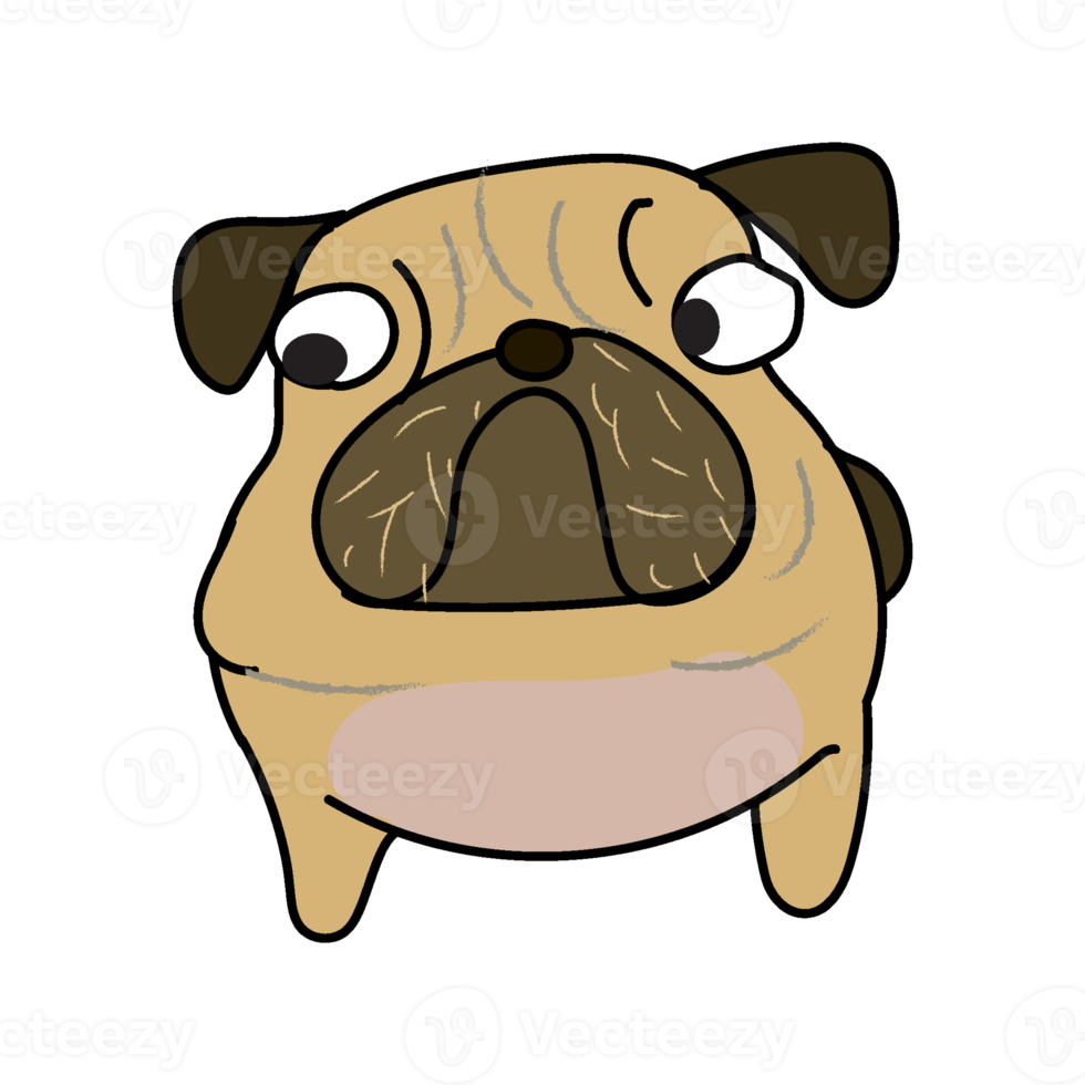 cute funny crazy pug dog 22728782 PNG