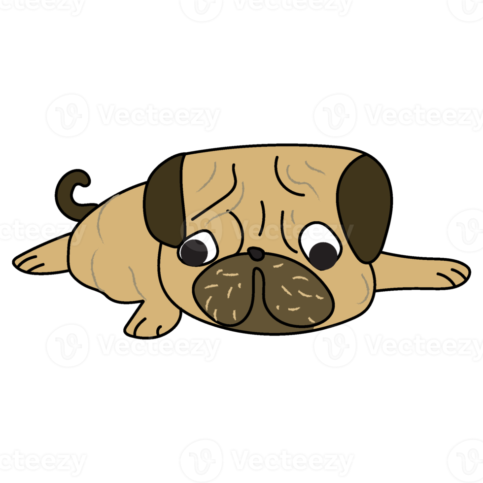 cute funny crazy pug dog png