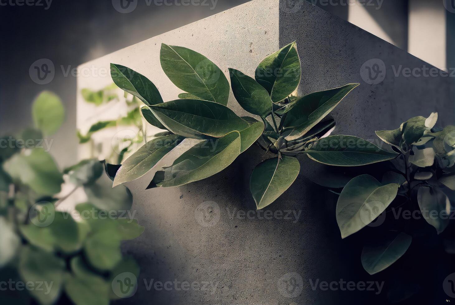 Gray concrete rough abstract background with green leaves and branches. photo