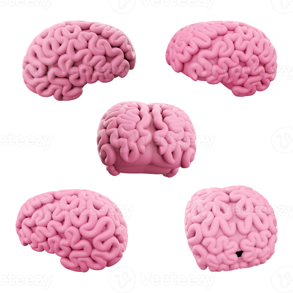 3d rendering pink brain different positions icon set. 3d render education, medicine, science icon set. png