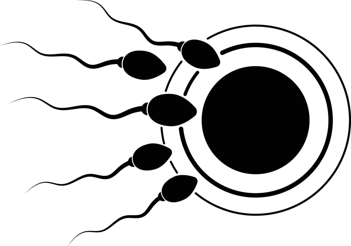 Human Sperms and Egg Cell Illustration vector
