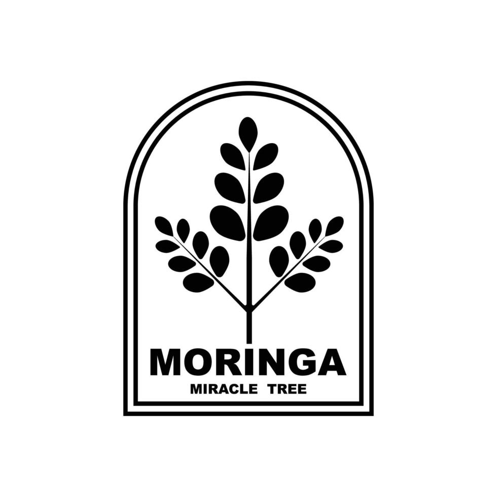 logotipo de hoja de moringa verde, para ingredientes herbales, cultivo de moringa, salud, industria de la medicina, belleza, terapia, diseño de concepto vector ilustración icono plantilla con un concepto moderno