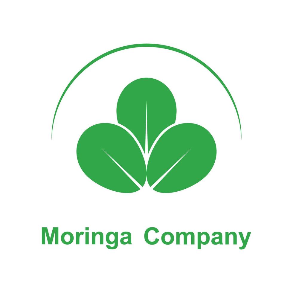 logotipo de hoja de moringa verde, para ingredientes herbales, cultivo de moringa, salud, industria de la medicina, belleza, terapia, diseño de concepto vector ilustración icono plantilla con un concepto moderno