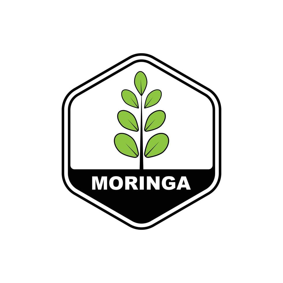 green moringa leaf logo, for herbal ingredients, moringa farming, health, medicine industry, beauty, therapy, concept design vector illustration icon template with a modern concept