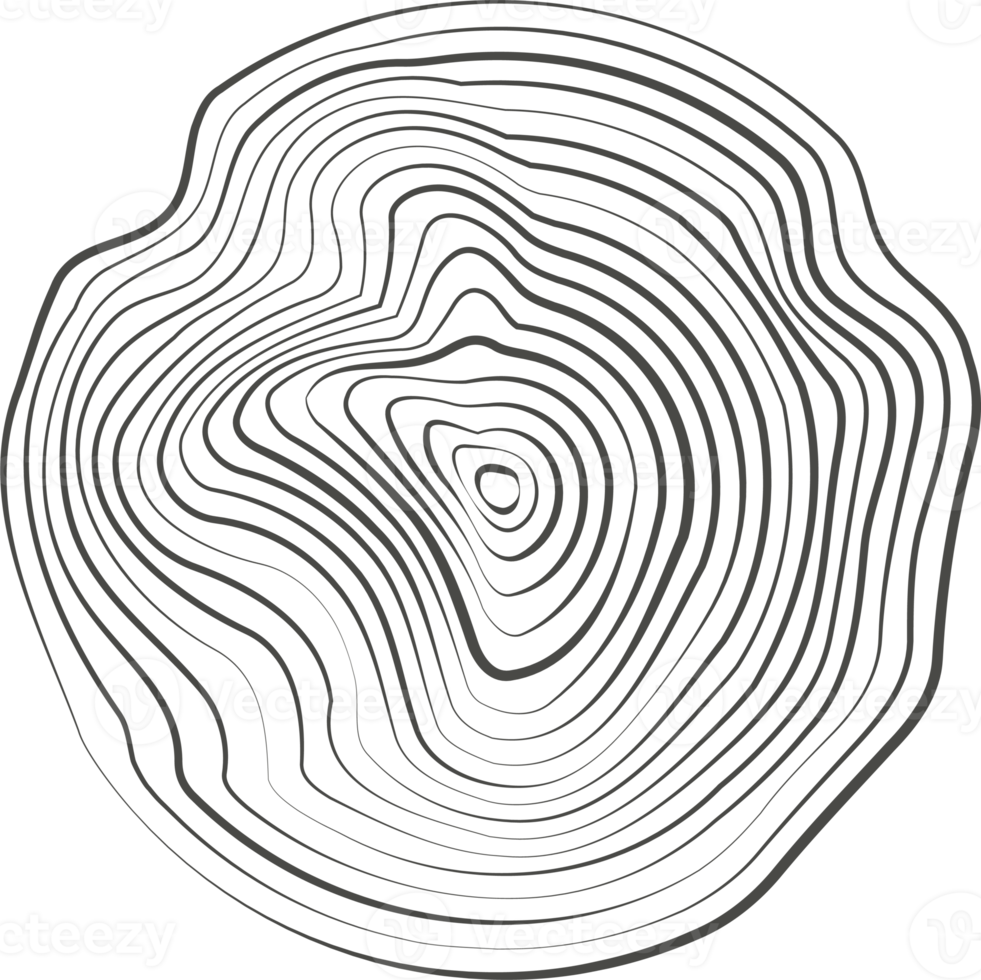 topografie lijn cirkels. boom ringen biologisch patroon. natuur golvend contour vorm geven aan. topografisch icoon png