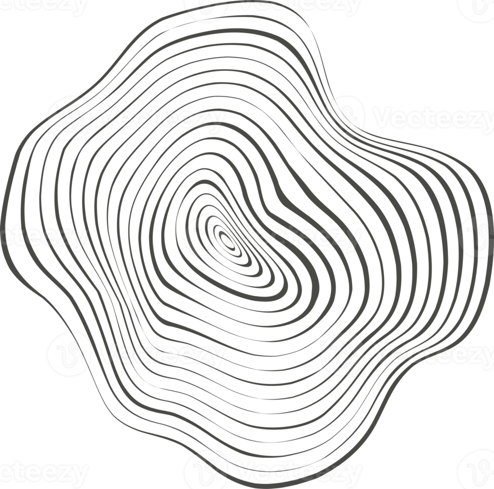 Topography line circles. Tree rings organic pattern. Nature wavy contour shape. Topographic icon png