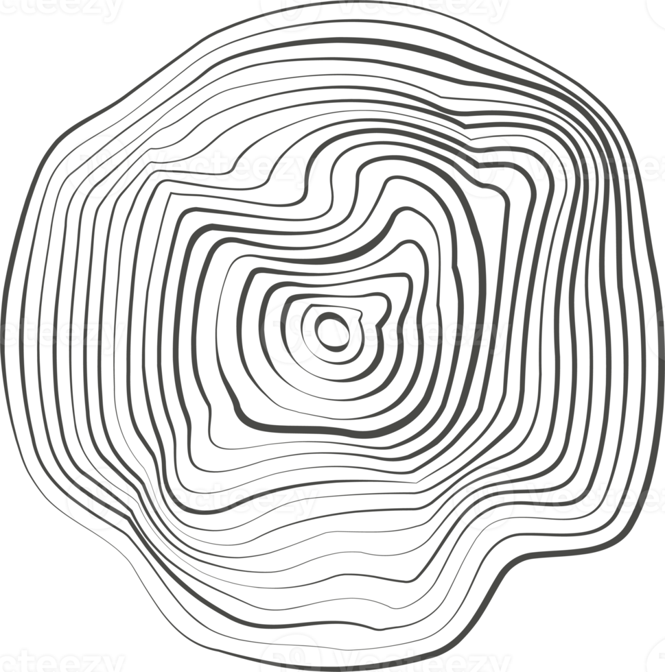 Topography line circles. Tree rings organic pattern. Nature wavy contour shape. Topographic icon png