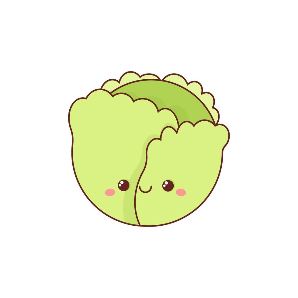 Kawaii style cabbage isolated on white background vector