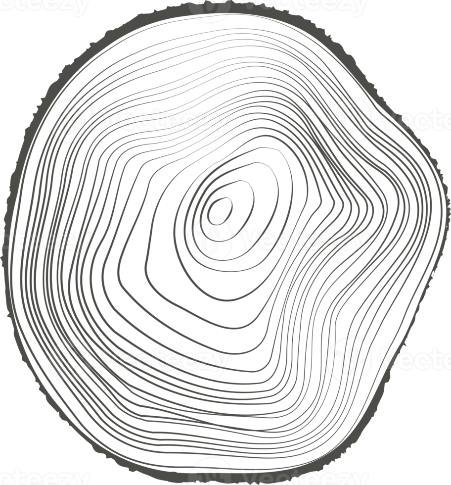 arbre anneaux en bois enregistrer. cercle annuel souche texture. ligne Charpente tranches png