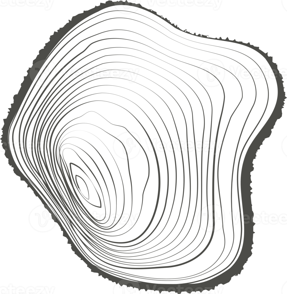 Tree rings wooden log. Circle annual stump texture. Line timber slices png
