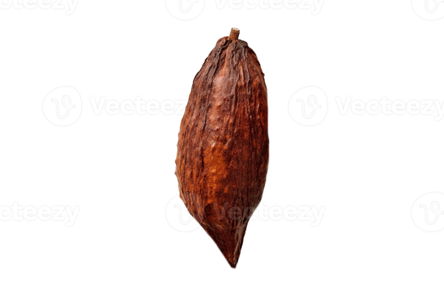 cacao Fruta aislado en un transparente antecedentes png