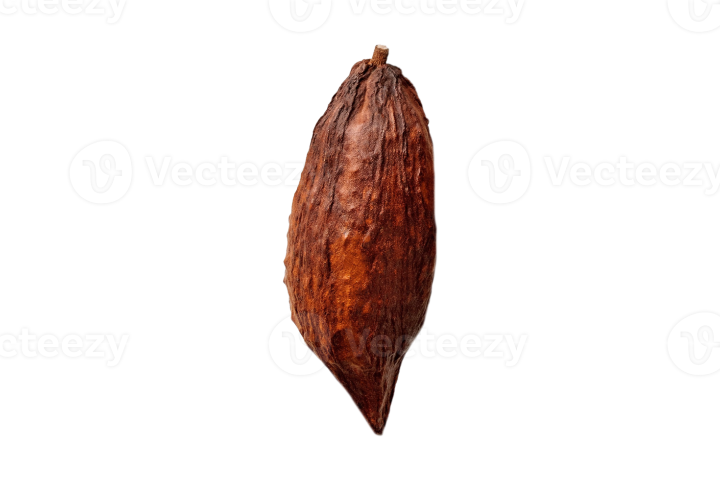 Cocoa fruit isolated on a transparent background png