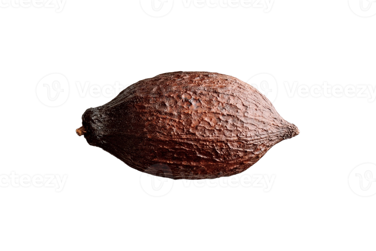 Cocoa fruit isolated on a transparent background png