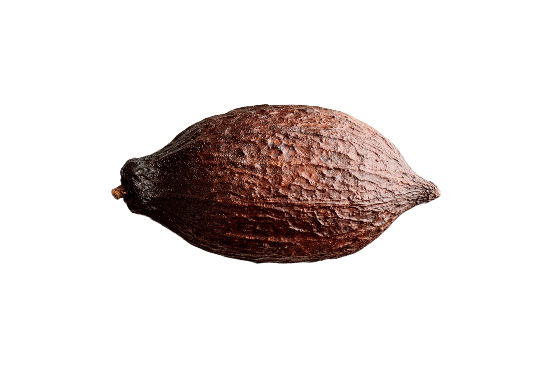 Cocoa fruit isolated on a transparent background 22735485 PNG