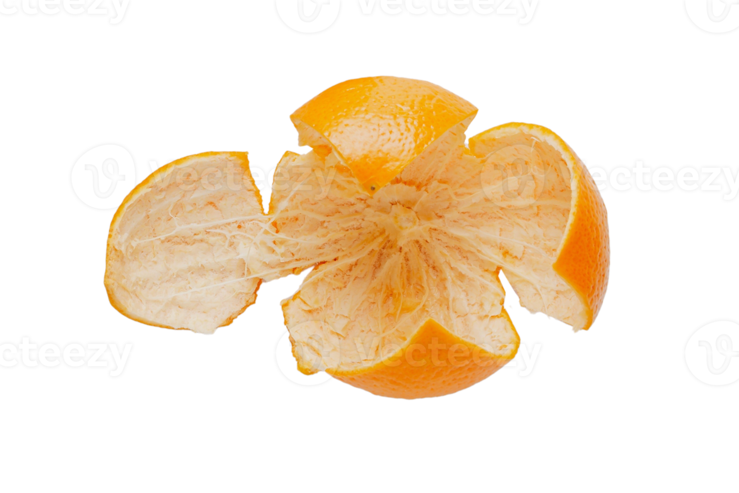 orange skala frukt isolerat på en transparent bakgrund png